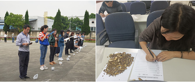 ��ҩҵ��չ2020����ҩ����