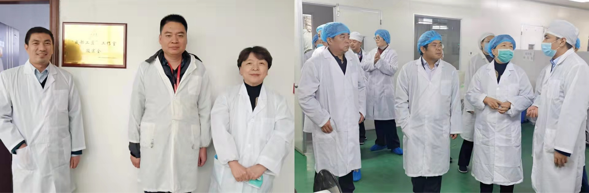 星空集团集团副总裁刘春凤一行莅临金鼎药业调研指导工作